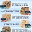 와이앤케이 커머스(주) 이미지