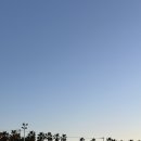 멜로우 하우스