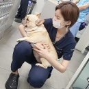마레동물병원