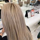 헤어보그 이미지