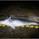 원줄농장 이미지