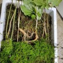 산속농장 이미지