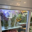 블랑-메이 이미지