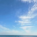 (주)나라건설
