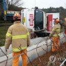 선거 농로 이미지