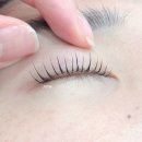 도봉-쌍문-도봉-1163 이미지