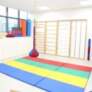 더푸름아동발달연구소 이미지