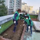 철산1동 행정복지센터 이미지