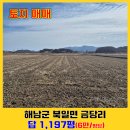 조은날공인중개사사무소 이미지