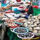 함덕오일시장 이미지