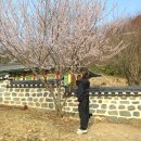 클레리아 | 프라이빗 독채 펜션 글램핑 공주 클레리아