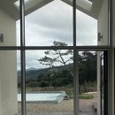 파인트리 스테이 이미지