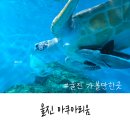 어등 어린이공원 | 경북 울진 아이와함께 가볼만한곳 울진아쿠아리움 방문 후기(울진여행패키지)