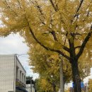 서학동예술마을 | ☕️오르도네 : 전주 서학동 예술마을, 전주교대 느좋카페