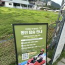 월드애견 | [강원도 홍천] 홍천 여행 가볼만한 곳｜루지월드 홍천 애견동반 후기