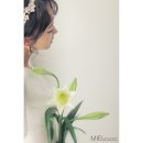 프리지아 스튜디오