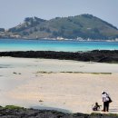 협재의바람 이미지