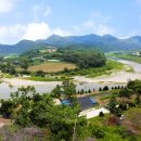 산채으뜸마을 이미지