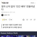 세계 최초로 정자 난자 없이 인간 배아 탄생 이미지