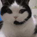 한국전력공사 서울본부 이미지