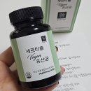 약국 유산균 추천 내돈내산