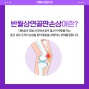 경대연합의원 이미지