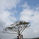 미영목장 이미지