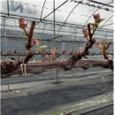 이종준농장 이미지