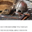 새날목장 이미지