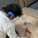 성터12길 1, (문화동) 이미지