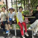 천변3호 이미지