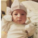 월드냉동 이미지