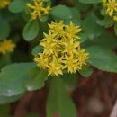 기린초등학교 이미지