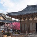 통도사 - 1807 | 통도사