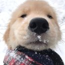 세정문구 이미지