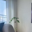 커피볶는시골커피용호