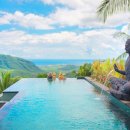 블루몽키 이미지