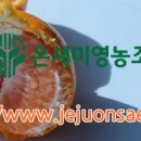 온새미영농조합법인 이미지