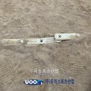 인천산곡남초등학교 이미지