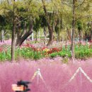 초원가든민박 | 9월 국내 여행지 추천 BEST10