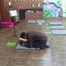 (주) 삼배 Daum카페
