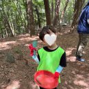 옥림 유아숲체험원 네이버블로그