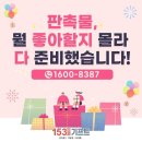 에코 153 이미지