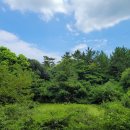 차귀도 약국 이미지