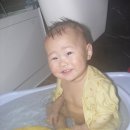 정후PC