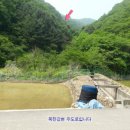 춘천임업