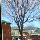 88식당 | 경기 동두천 캠핑식당 88연탄구이 동두천 내돈내산 후기