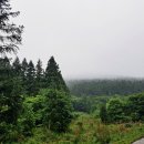 남조로수망교차로 1 이미지