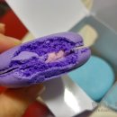 마리웨일 이미지