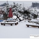 사계절 장독대 이미지